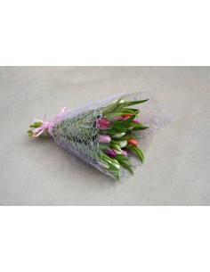 Purple tulips MIX (15 pcs)